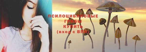 индика Алзамай