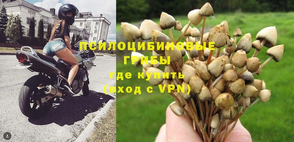 a pvp Гвардейск