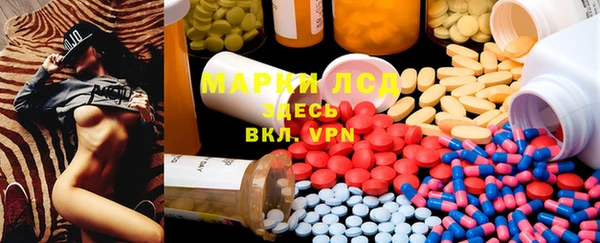 индика Алзамай