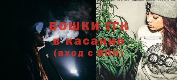 индика Осташков