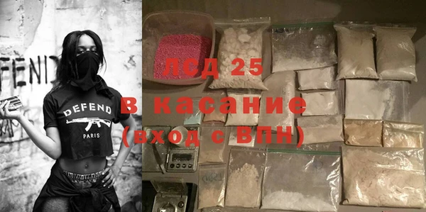 индика Алзамай